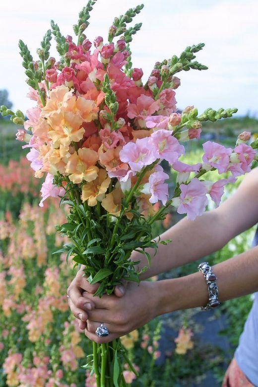 Corporate meeting room with carefully timed floral arrangements that maintain elegance throughout business hours